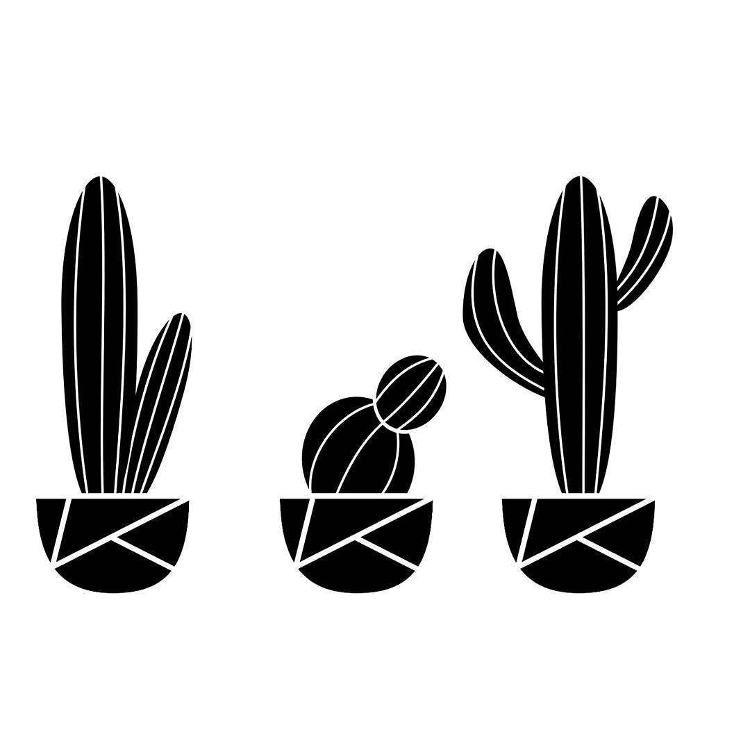 1080x1080 Lara Lapajne on Instagram: “Working on something new The perfect harmony: Black&White ❤ #cactus #cacti #blackandwh. iPhone art, Aesthetic wallpaper, Art prints
