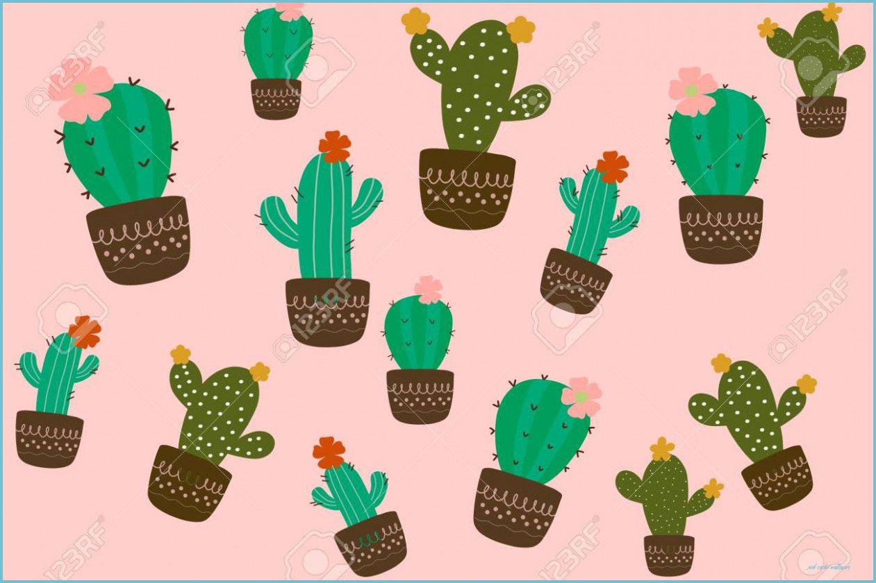 Pink Cactus Wallpapers - Top Free Pink Cactus Backgrounds - WallpaperAccess