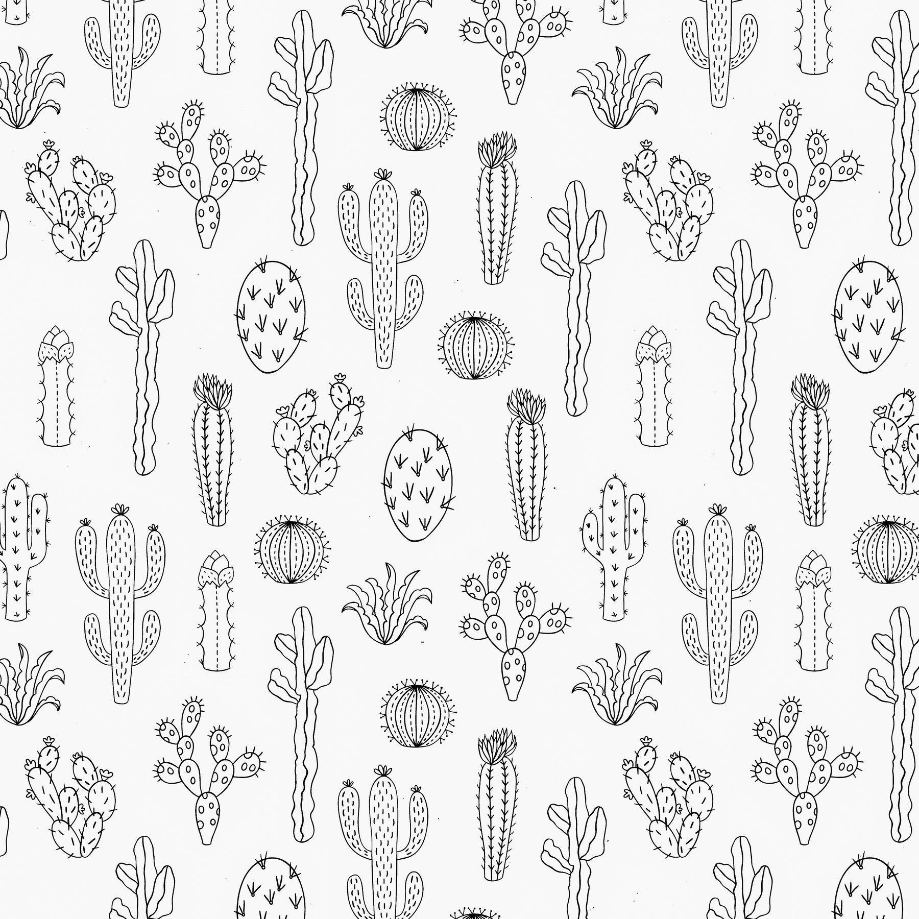 1800x1800 Buy Cactus Silhouette White wallpaper US shipping at