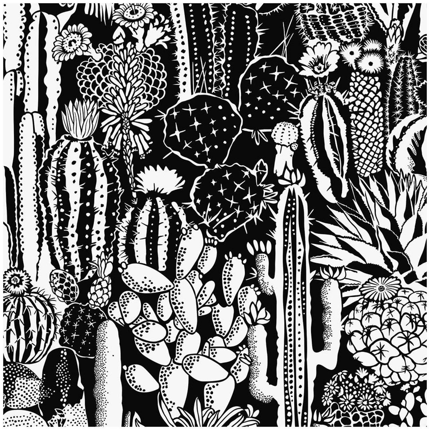 Cactus Black and White Wallpapers Top Free Cactus Black and White