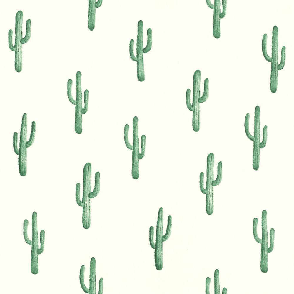 1000x1000 Wallpaper World Wide Walls cactus white green 138900