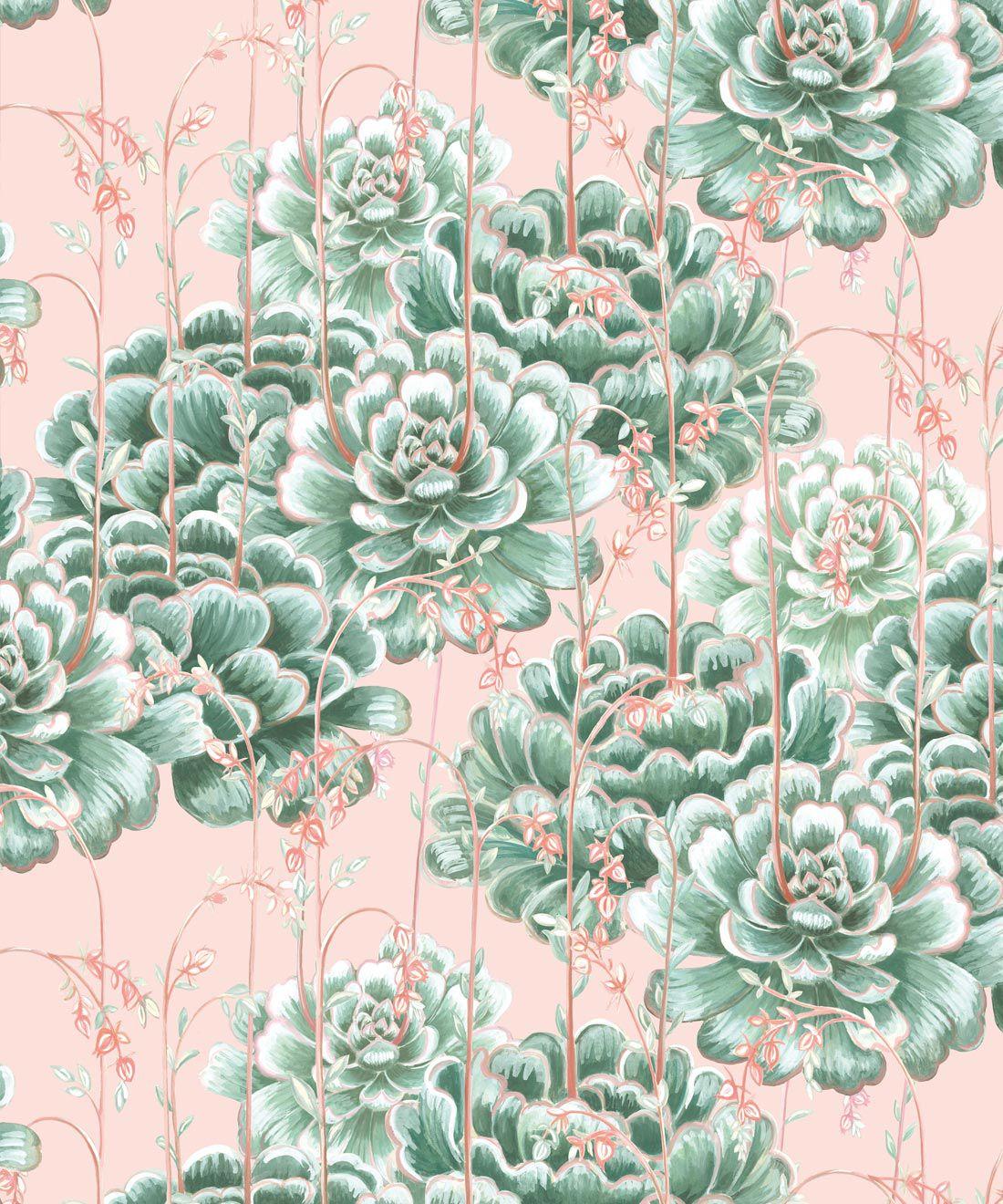 1100x1320 Succulents Wallpaper • Stunning Cactus Design USA
