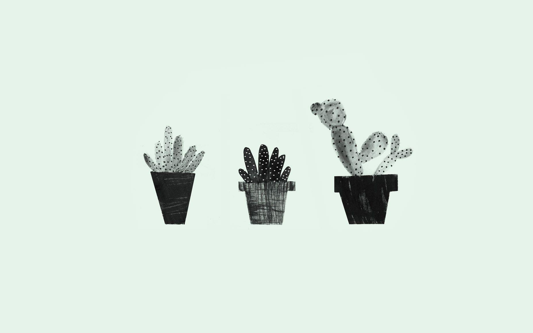 1856x1161 Cactus PowerPoint Background. Awsome PowerPoint Background, Awesome PowerPoint Background and Tablet PowerPoint Background