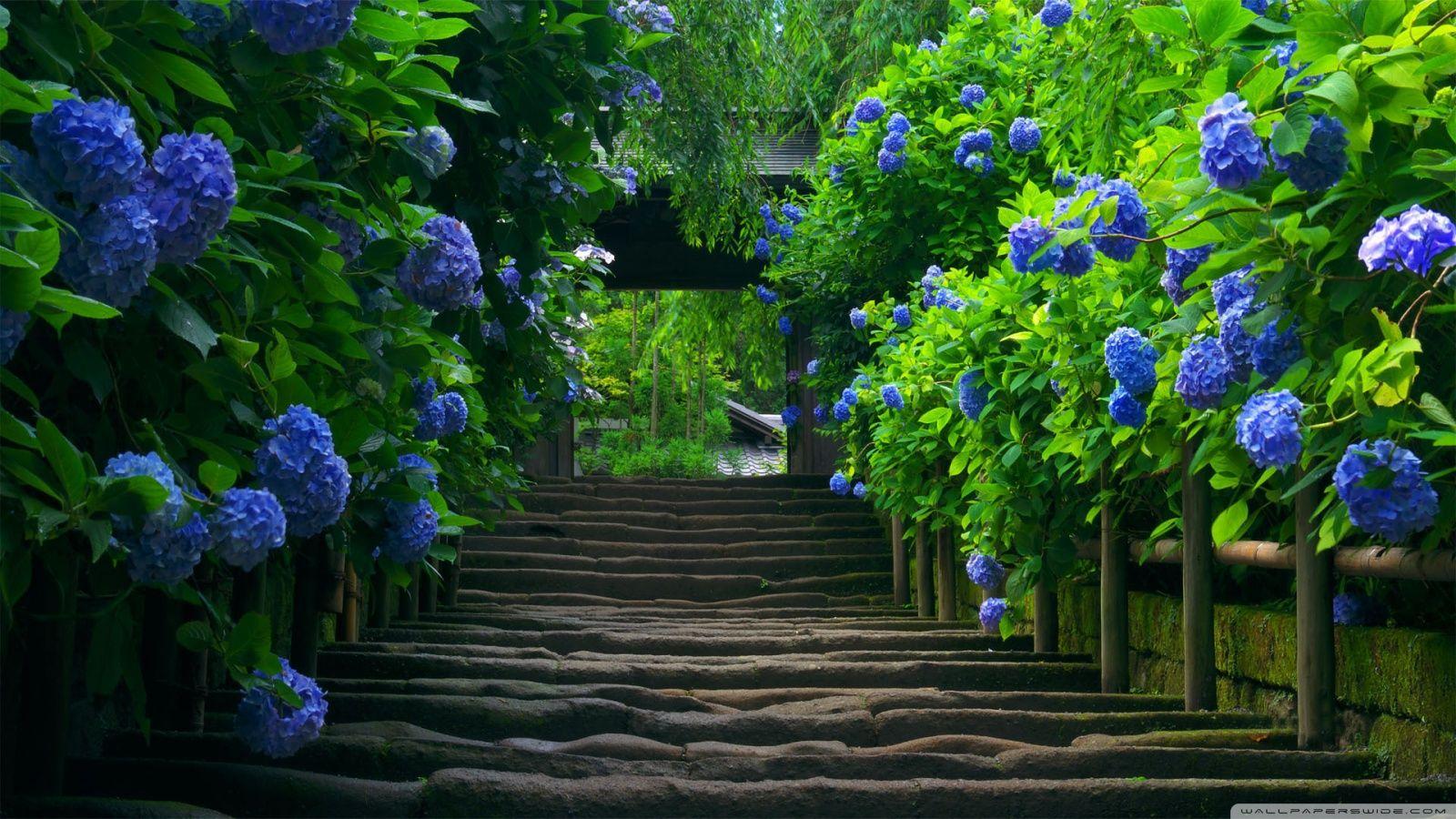1600x900 Japanese Garden ❤ 4K HD Desktop Wallpaper for 4K Ultra HD