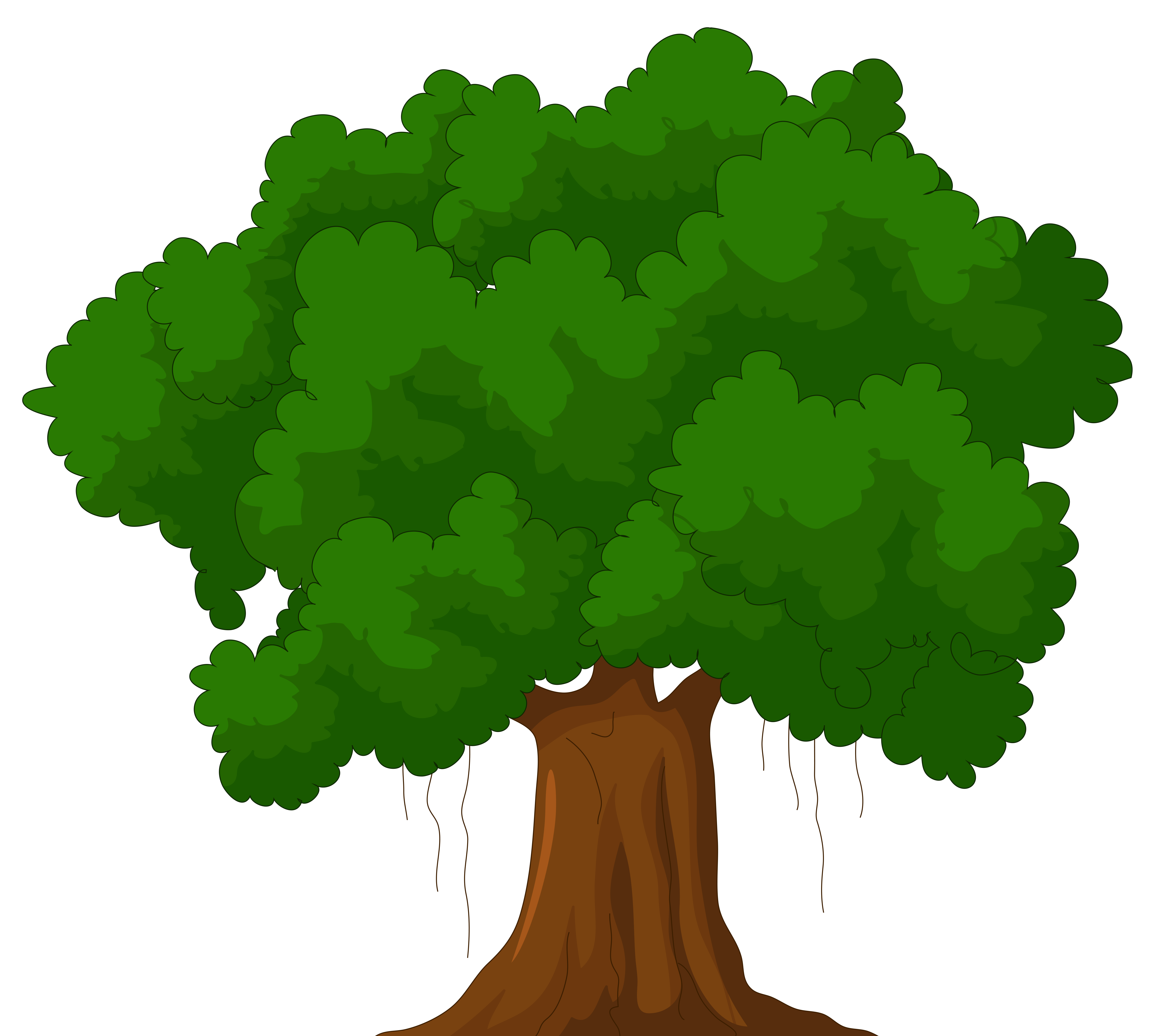 4992x4478 Green tree. Elizabeth Saunders download