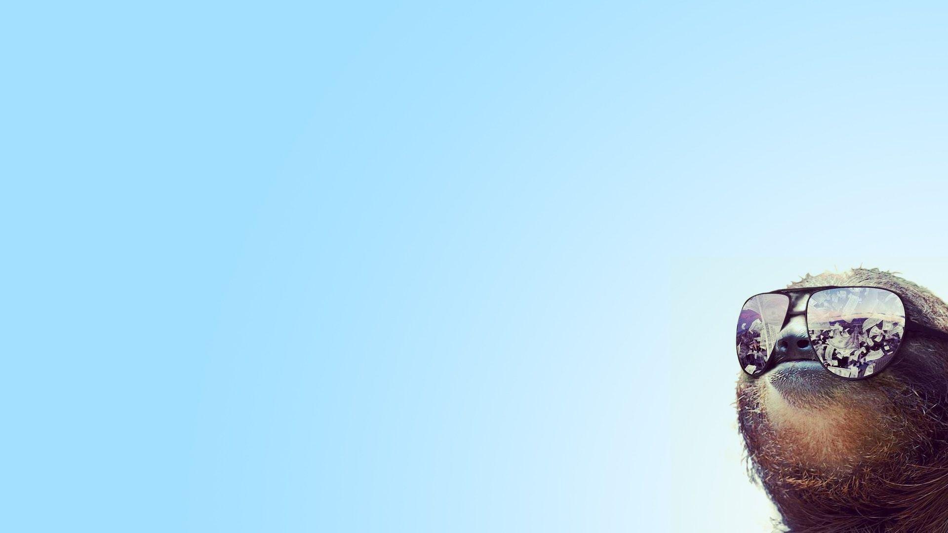 1920x1080 Sloth Sunglasses Wallpaper