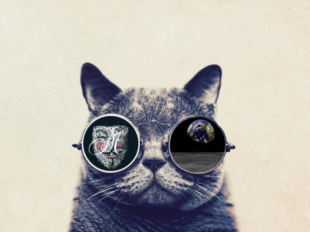 1024x768 Sunglasses Cat