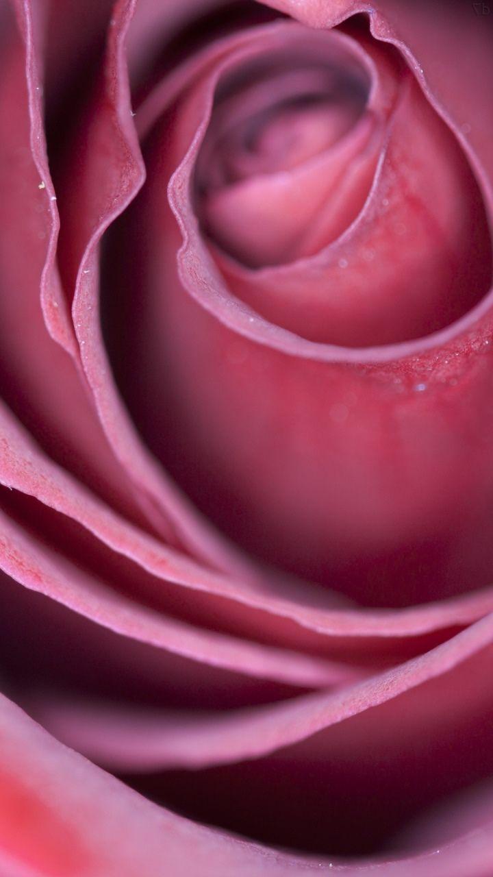 720x1280 Analogue macro wallpaper note 10 pro s11 iphone 11 12 720x1280 2690000001