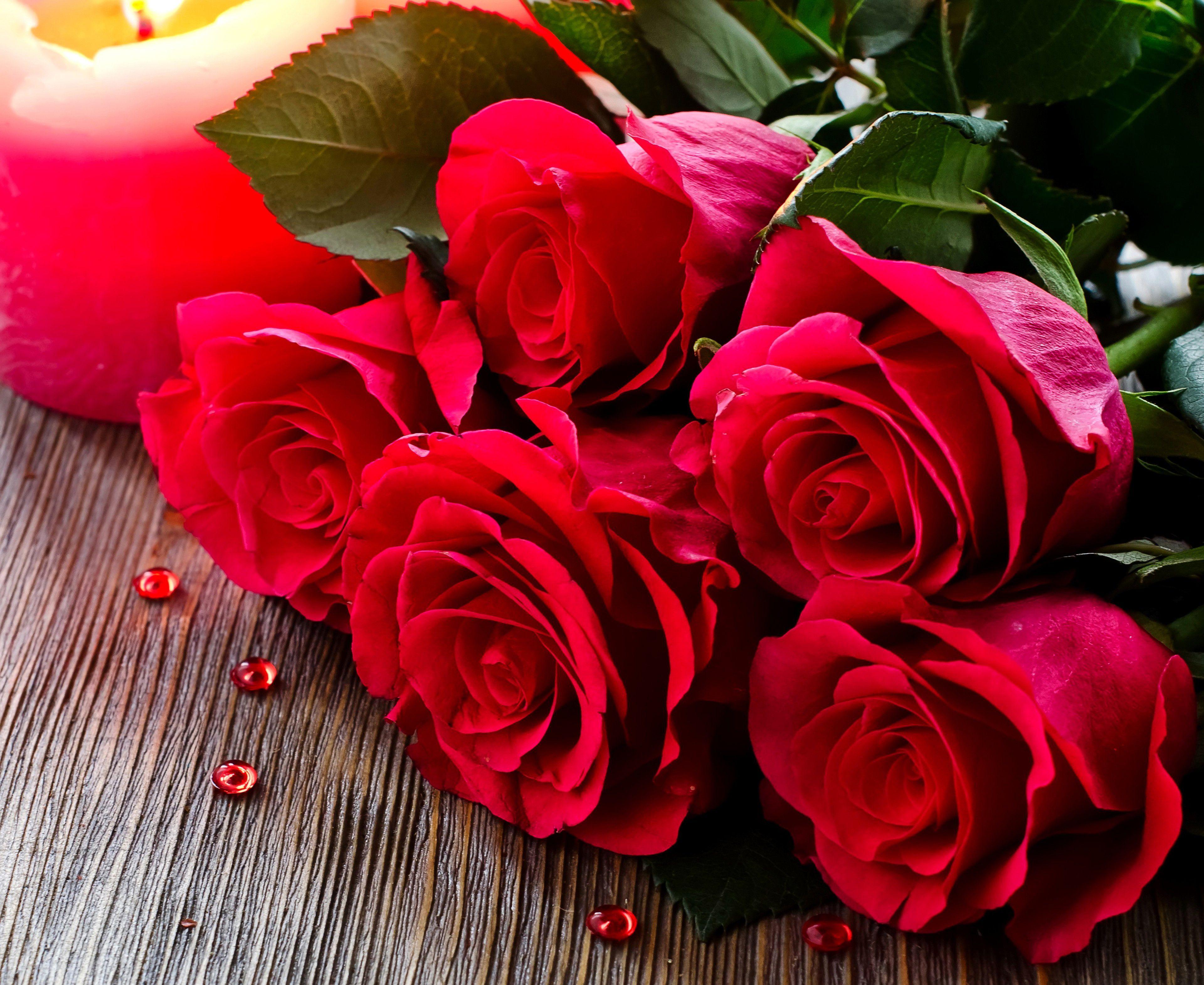 3840x3142 Love Rose Flowers