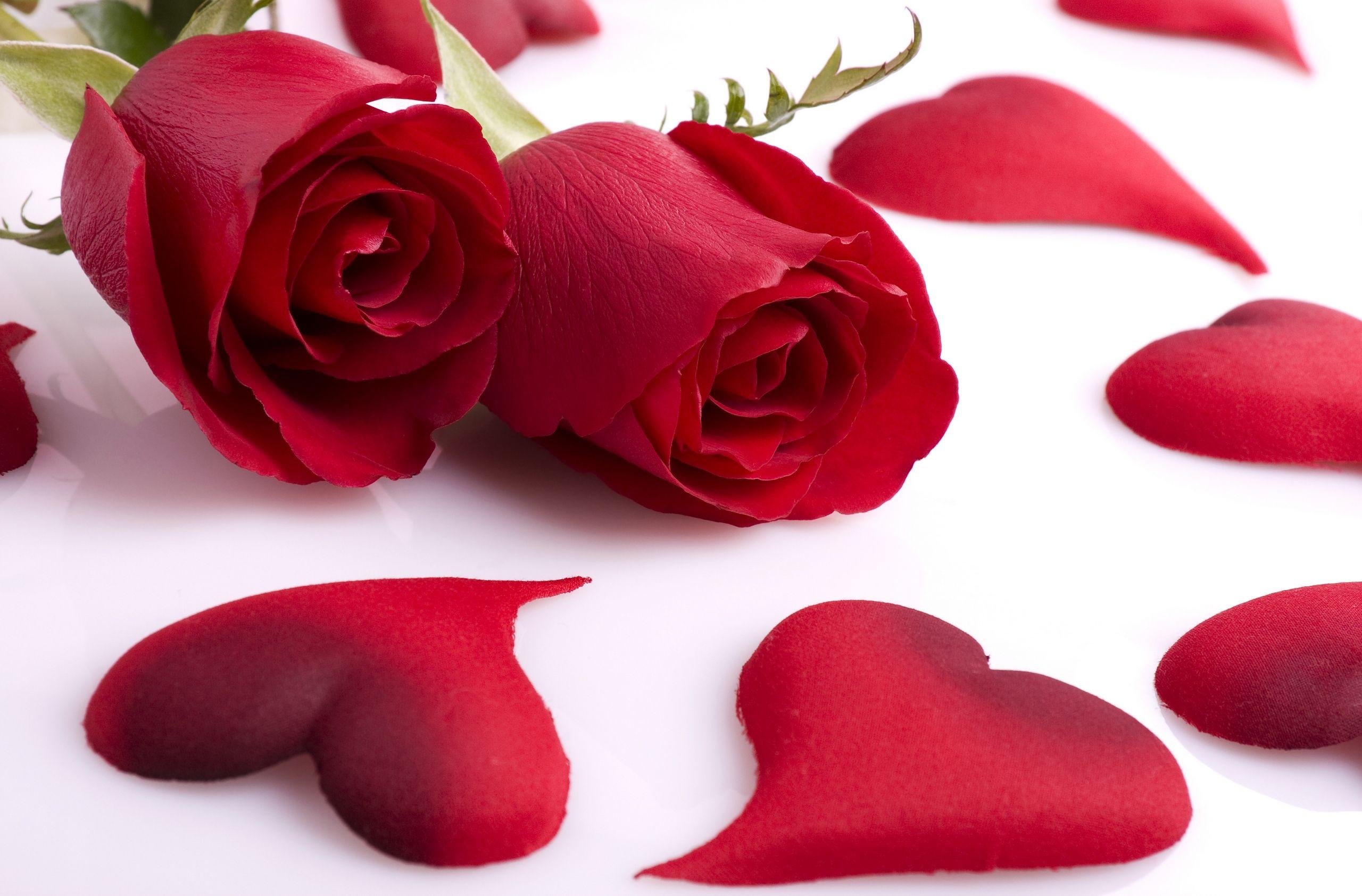 Heart In Flower red pretty romantic love heart bonito valentine  roses HD wallpaper  Peakpx