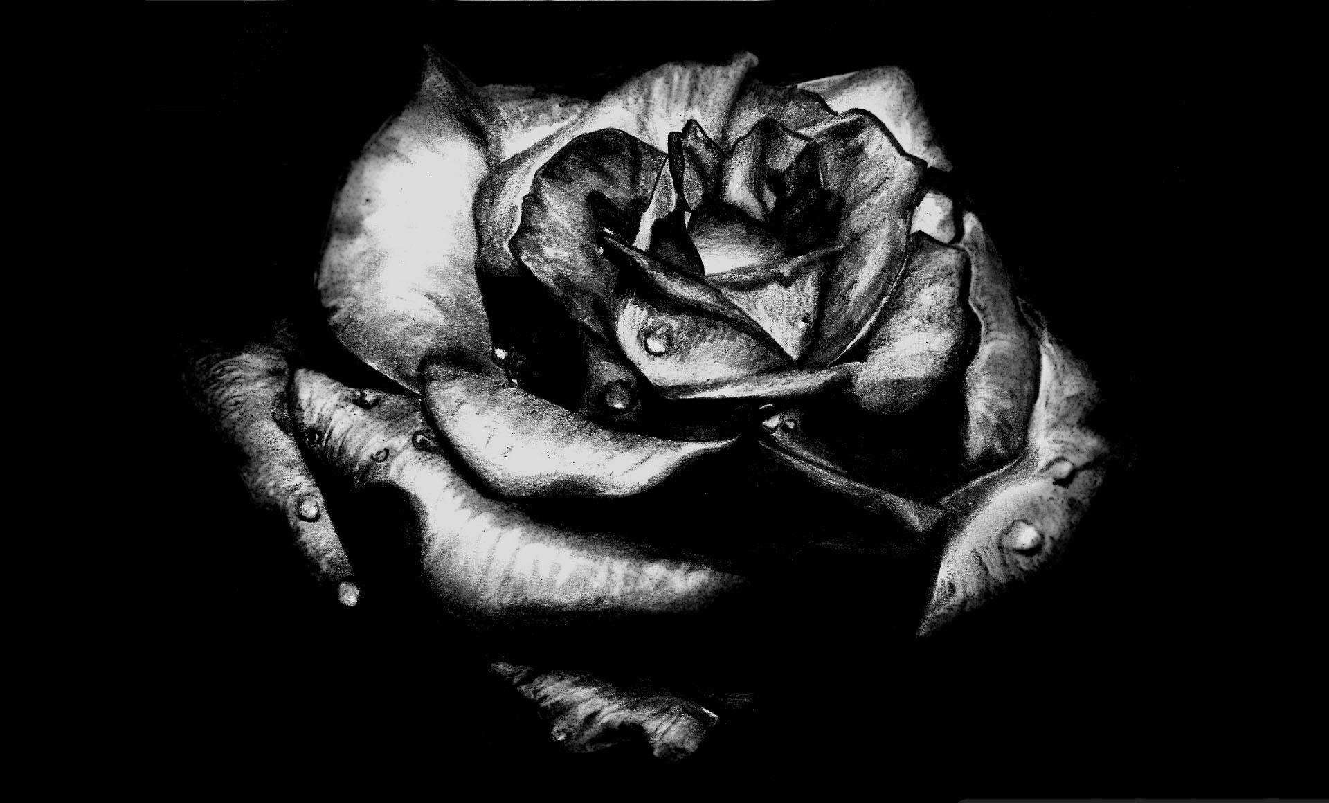 1920x1160 Gothic Flower. Gothic wallpaper, Dark flowers, Gothic rose