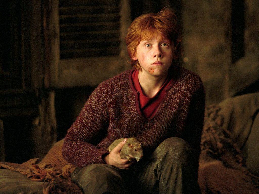 1024x768 Ron Weasley Wallpaper