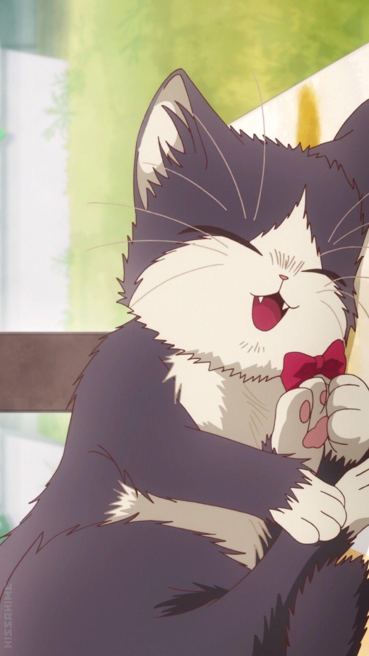 1242x2208 My Roommate is a Cat ideas. tokidoki, anime, cats