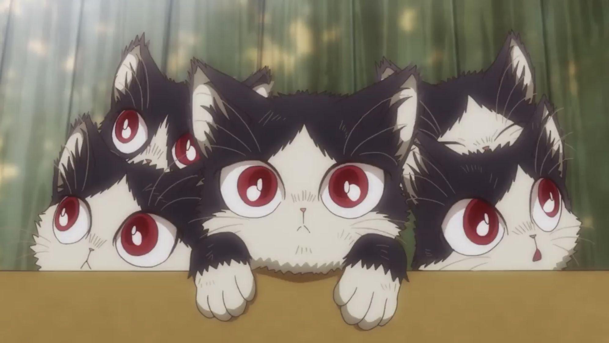 1993x1124 My Roommate is a Cat. Anime baby, Cat wallpaper, Anime