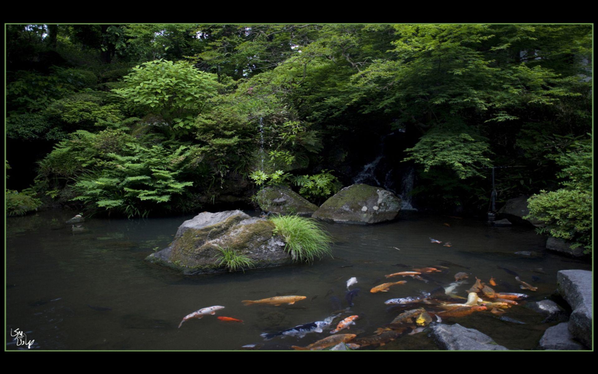 1920x1200 Japanese Zen Garden Wallpaper