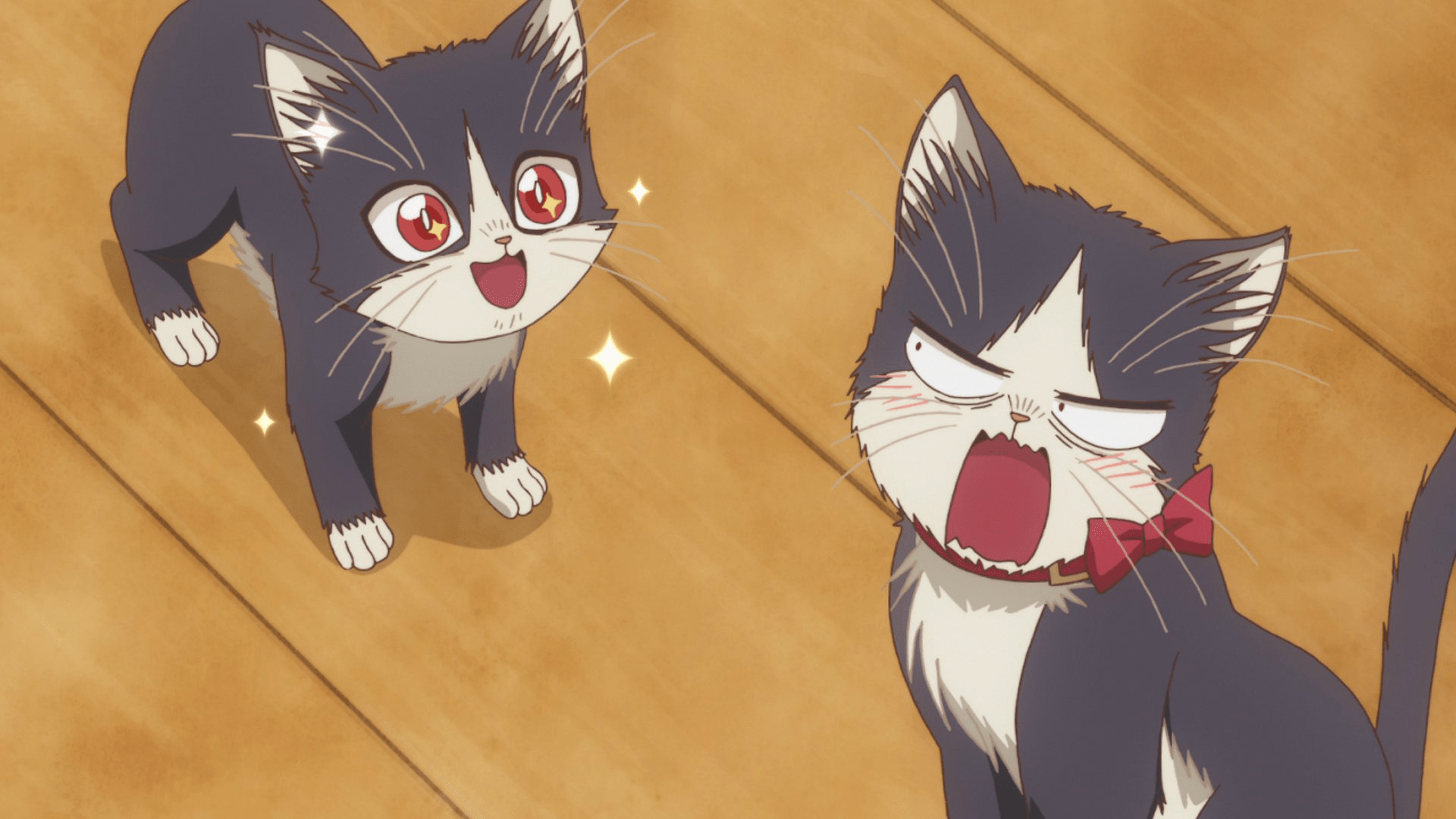 1920x1080 Episode 5. My Roommate is a Cat