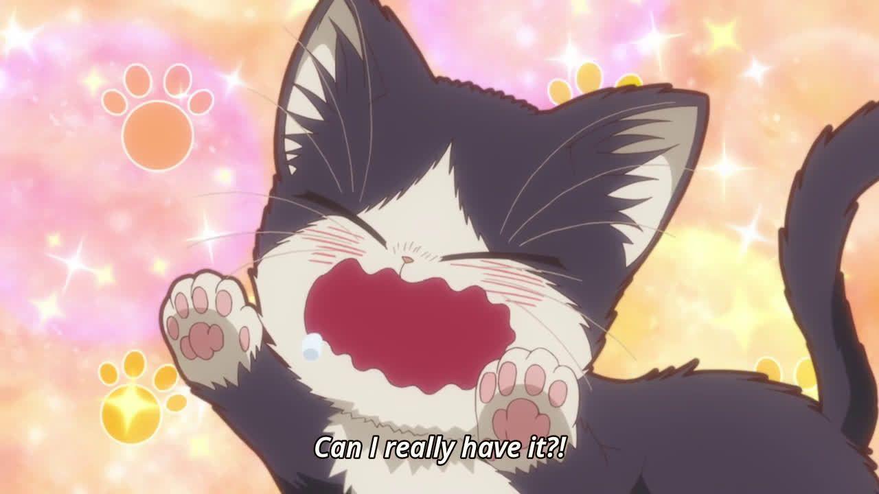 My Roommate Is A Cat Wallpapers - Top Free My Roommate Is A Cat - Anime Like My Roommate Is A Cat