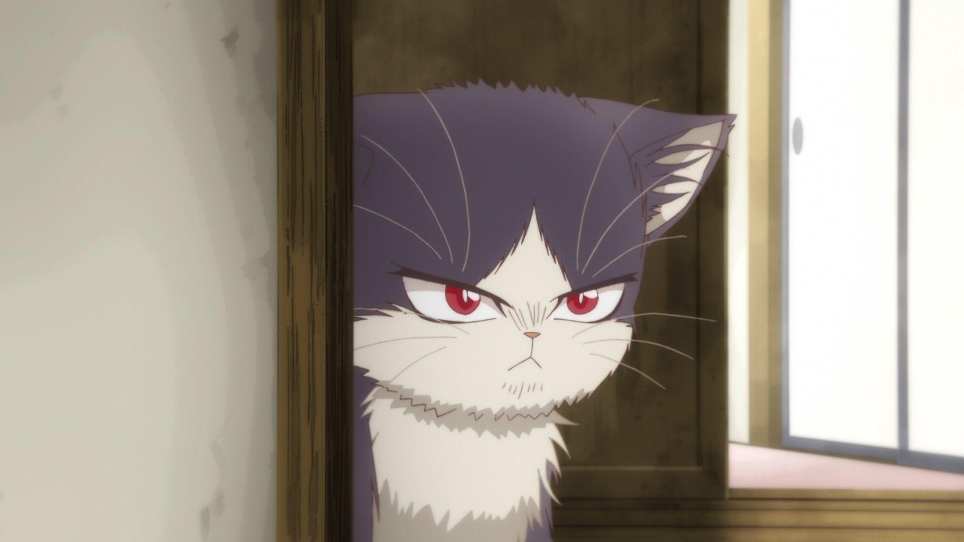 1920x1080 Watch My Roommate is a Cat Season 1 Episode 1 Sub & Dub