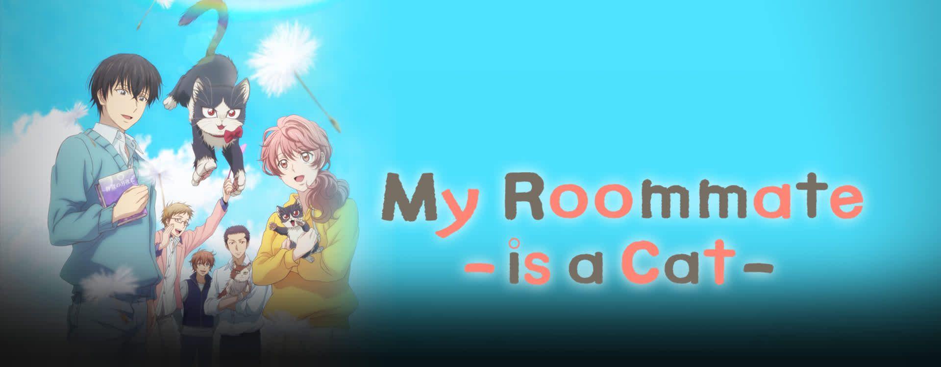 My Roommate Is A Cat Wallpapers - Top Free My Roommate Is A Cat - My Roommate Is A Cat Season 2