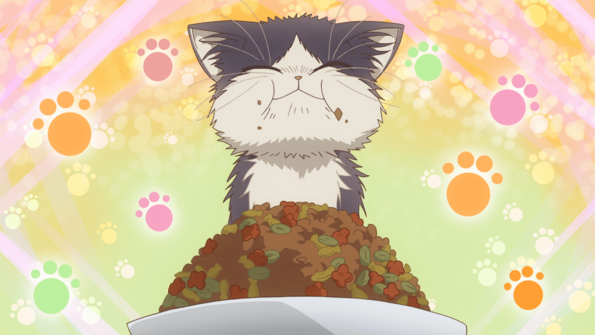 1920x1080 My Roommate is a Cat