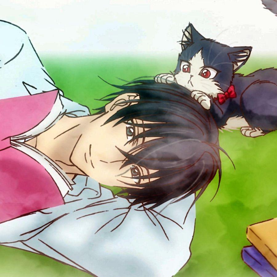 900x900 My Roommate is a Cat ideas. cat work, cat couple, cat fashion