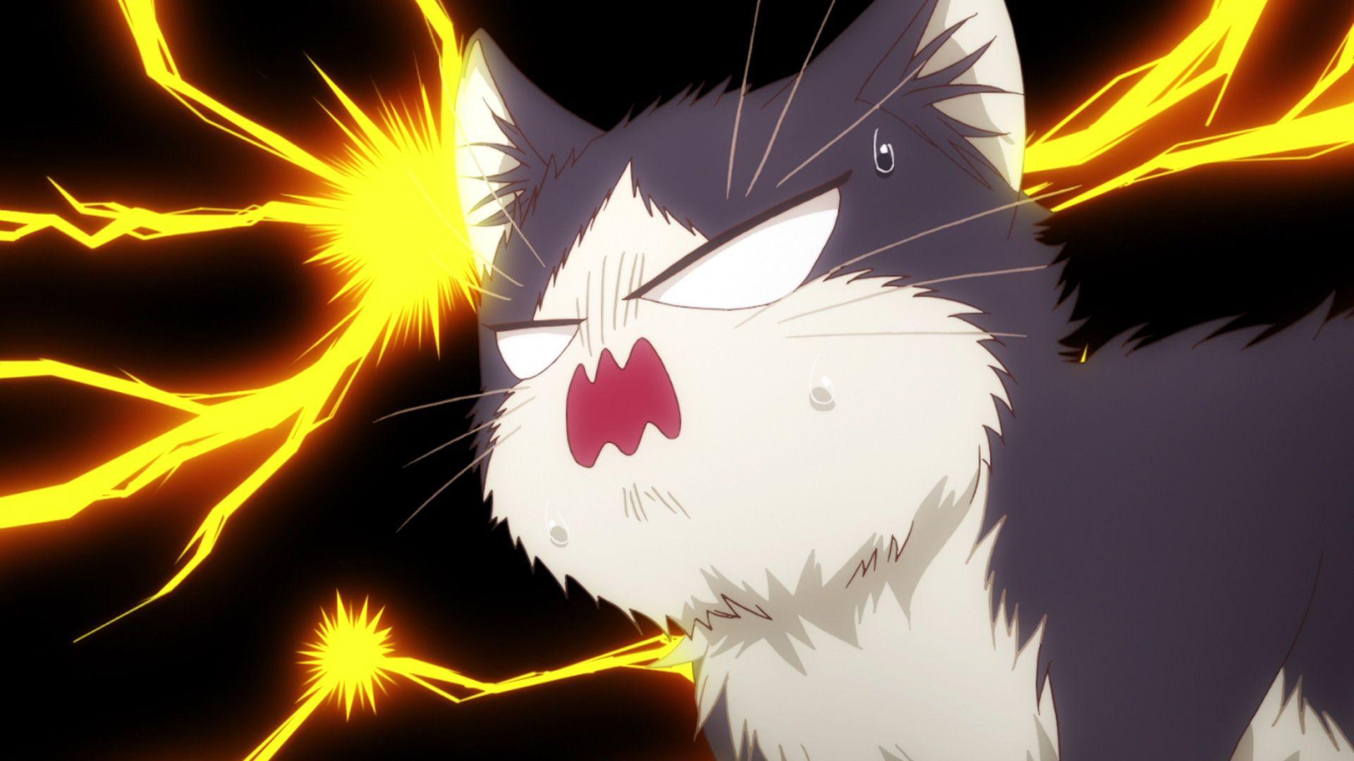1920x1080 Watch My Roommate is a Cat Season 1 Episode 3 Sub & Dub
