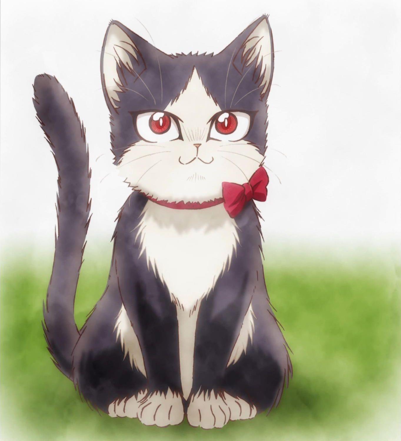 1363x1498 My Roommate Is a Cat, Ending. Anime cat, Cat work, Cute chibi
