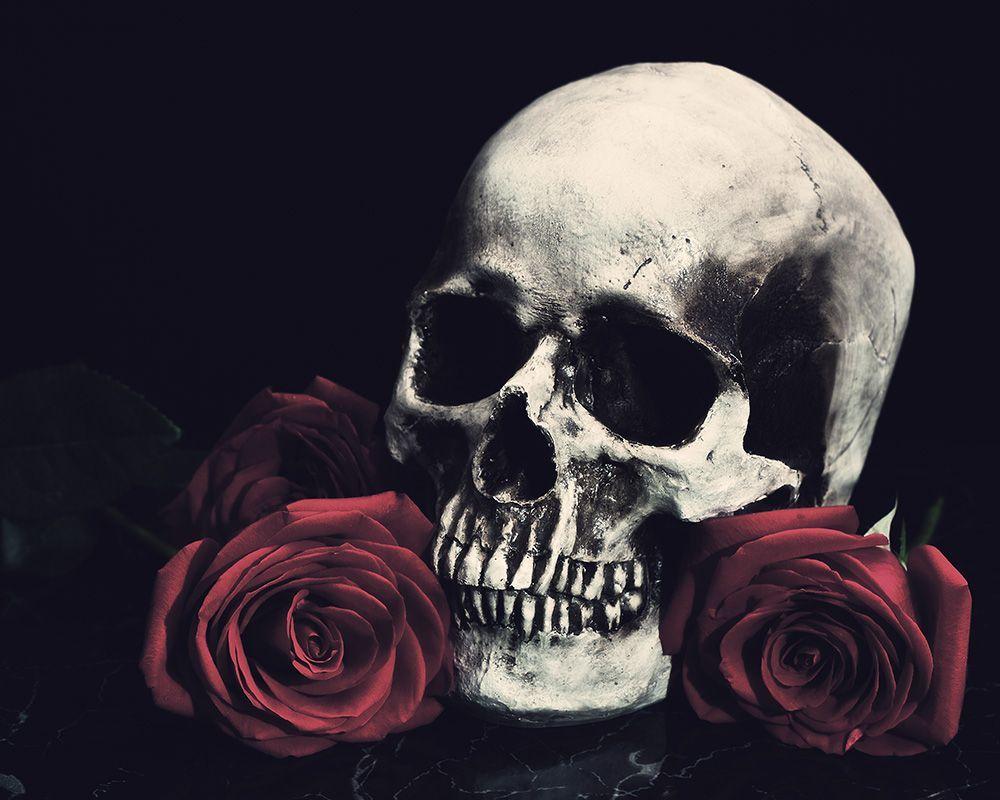 1000x800 Black Skull with Rose Wallpaper