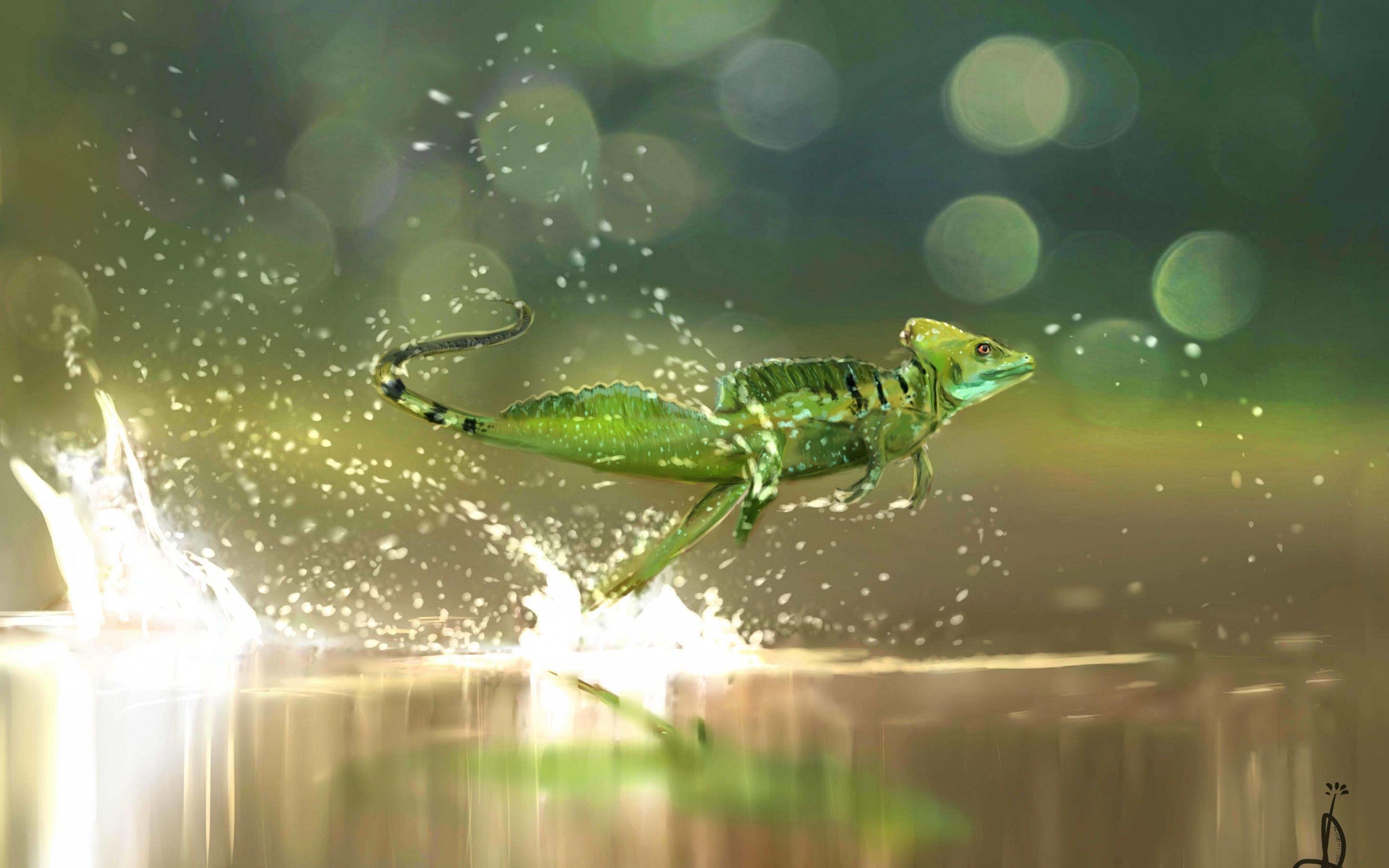 2880x1800 Lizard Running On Water wallpaper 862 - Lizard Wallpaper