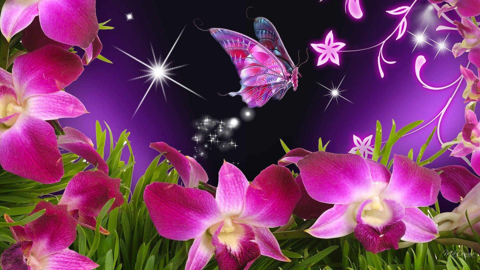 1920x1080 Pink Butterfly Wallpaper