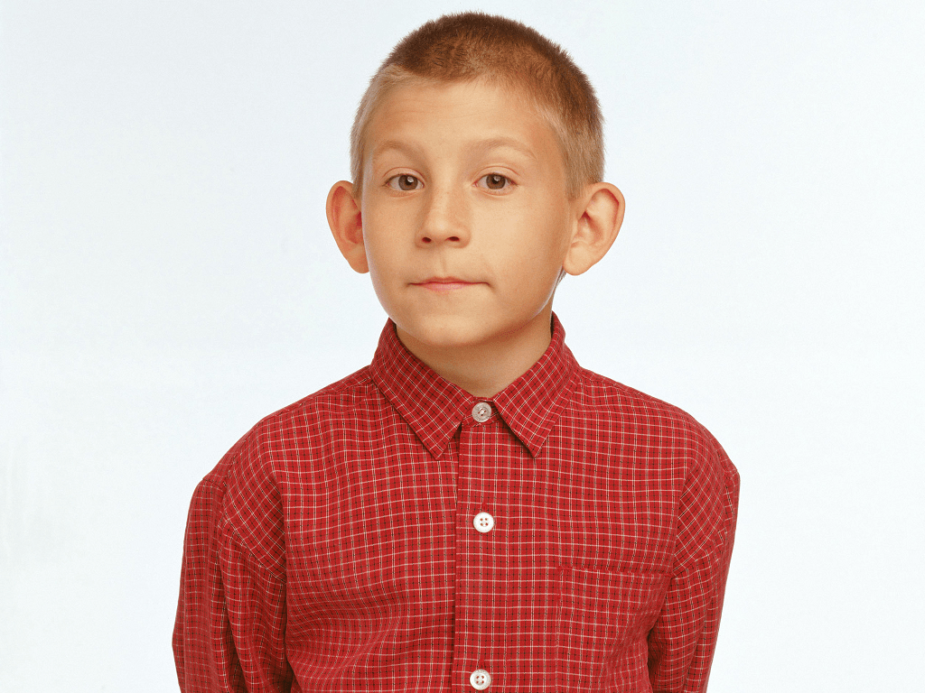 1024x768 Dewey In the Middle Wallpaper