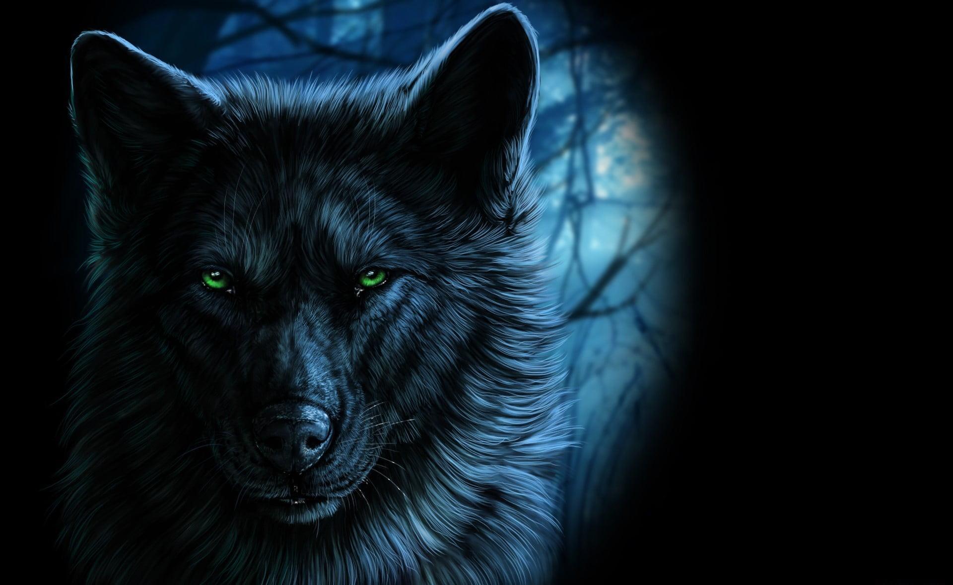 1920x1180 Black Wolf Artwork Wolf Wallpaper HD