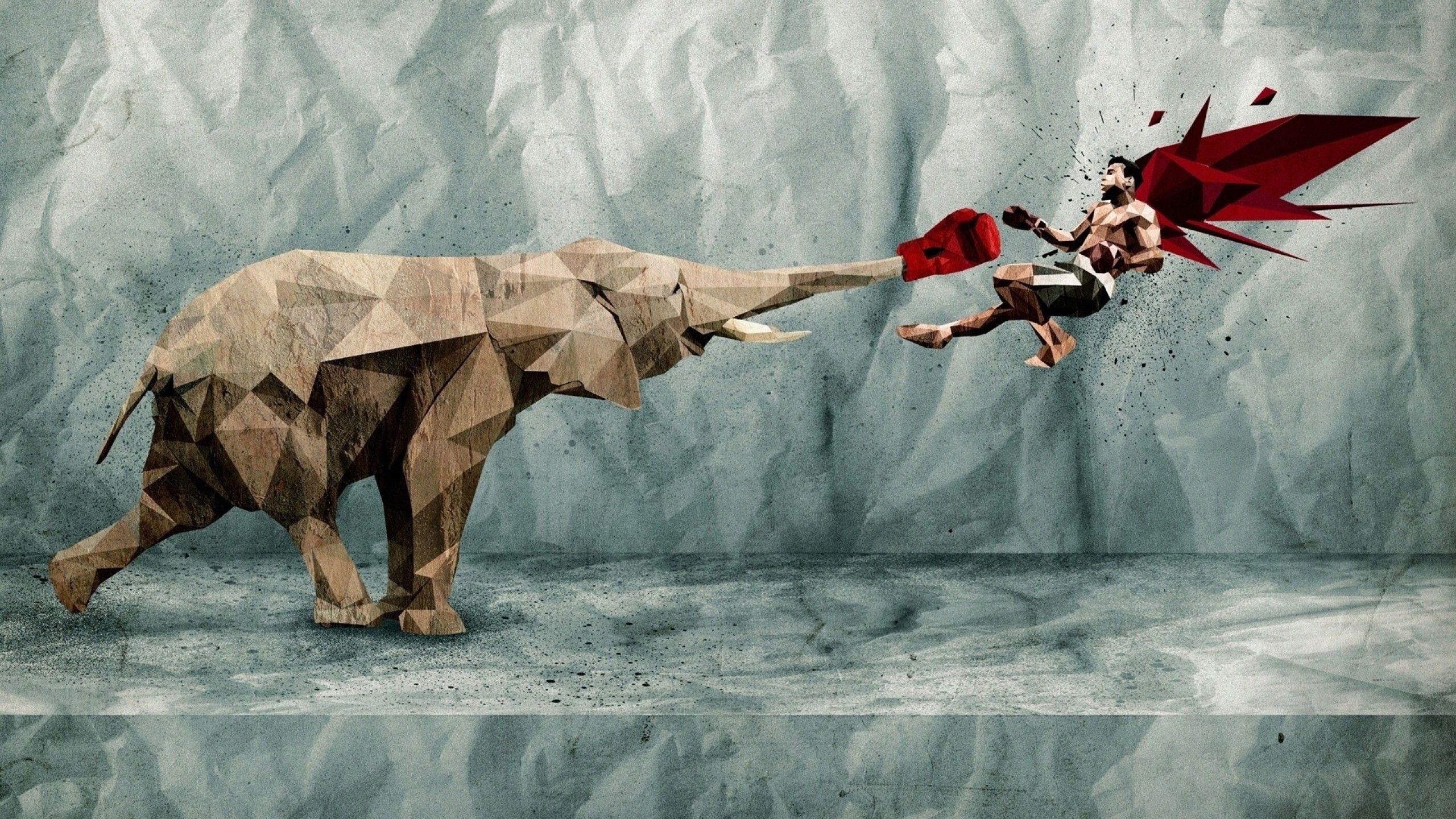 2560x1440 digital art, elephants, boxing gloves, low poly wallpaper