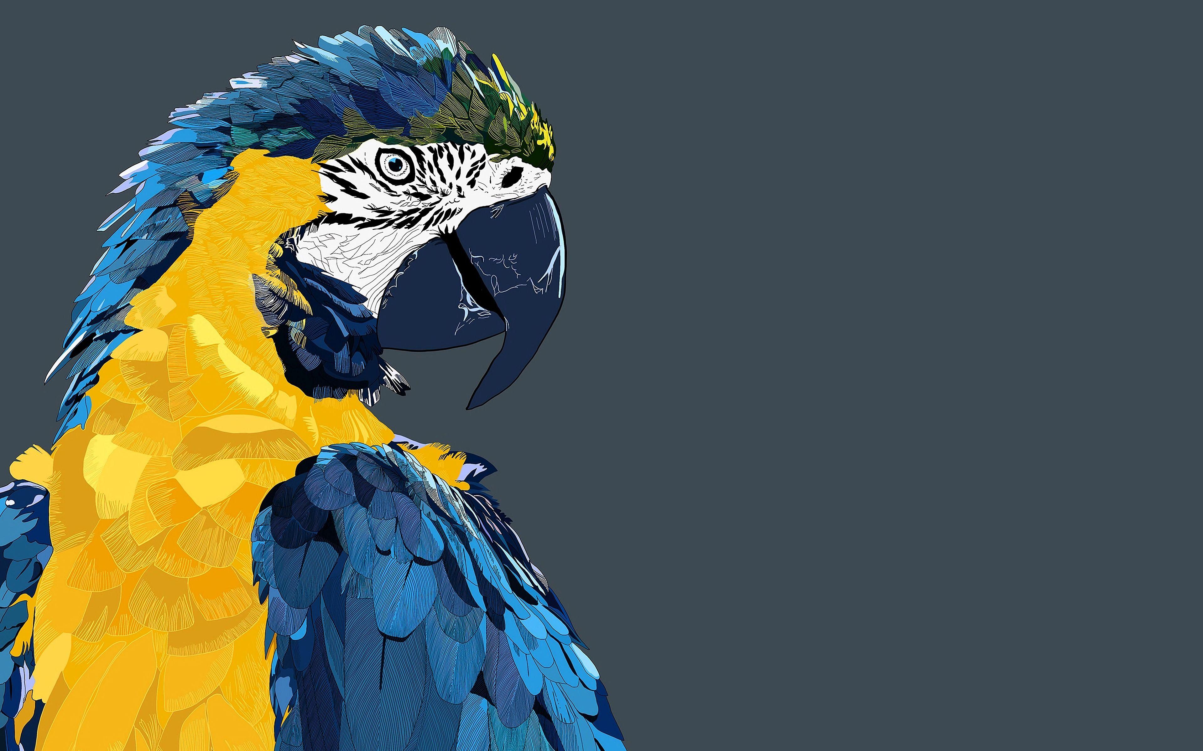 3840x2400 Low Poly Art, Macaw, Parrot, 4k, Birds, 3D Art Wallpaper Birds Wallpaper & Background Download