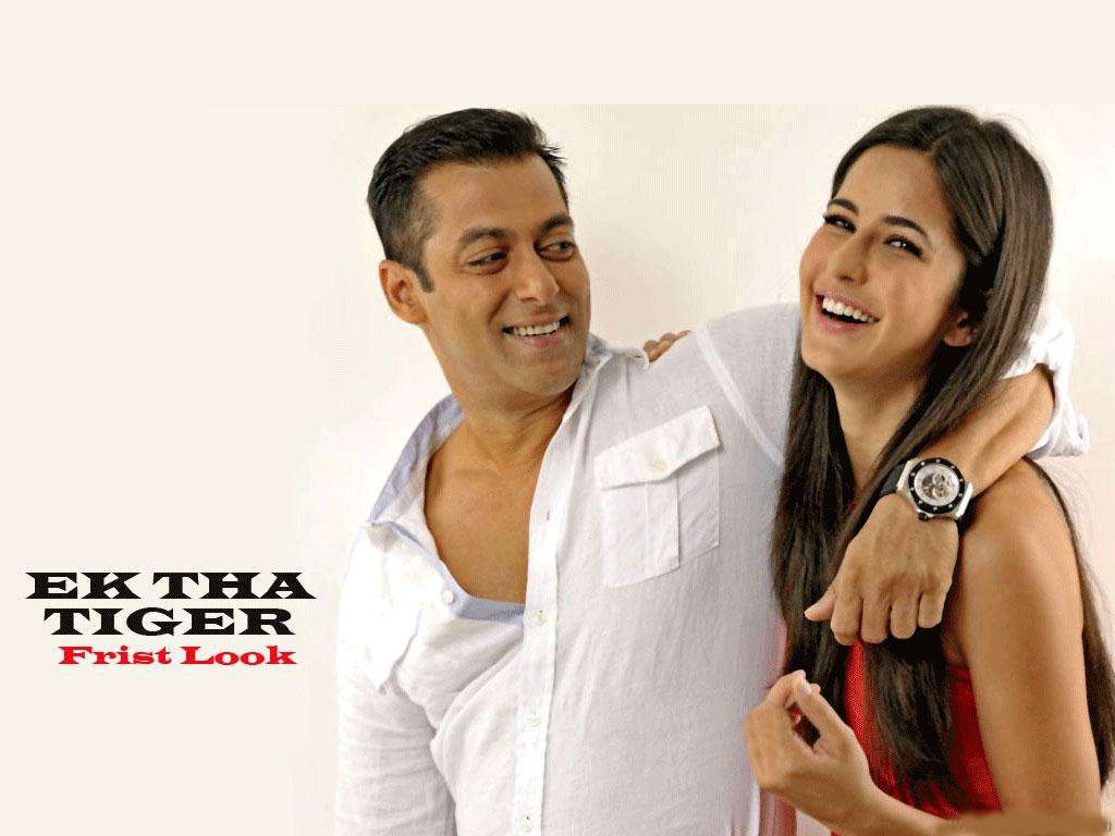1024x768 View Of Katrina Kaif In Salman Khan Ek Tha Tiger Wallpaper : HD Wallpaper
