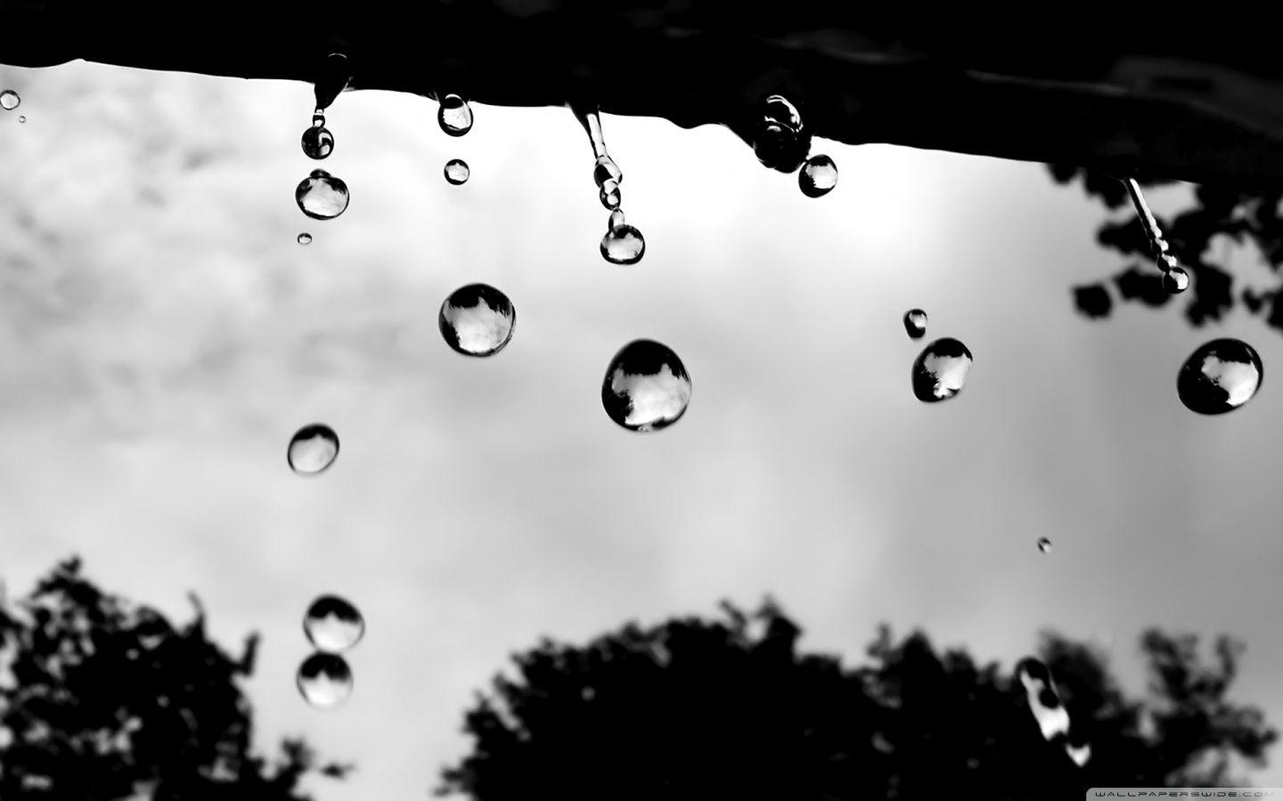 Raindrops Wallpapers Top Free Raindrops Backgrounds Wallpaperaccess