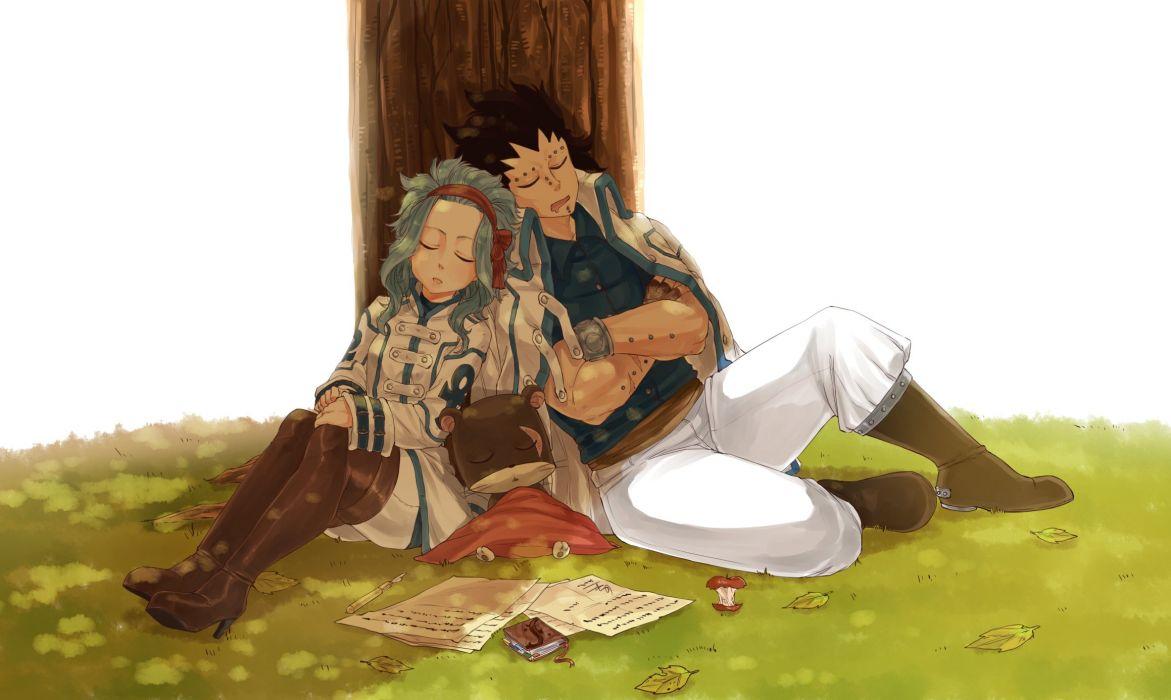 1171x700 Blanania FAIRY TAIL Gajeel Redfox Levy McGarden Pantherlily Crossed Arms wallpaperx1386