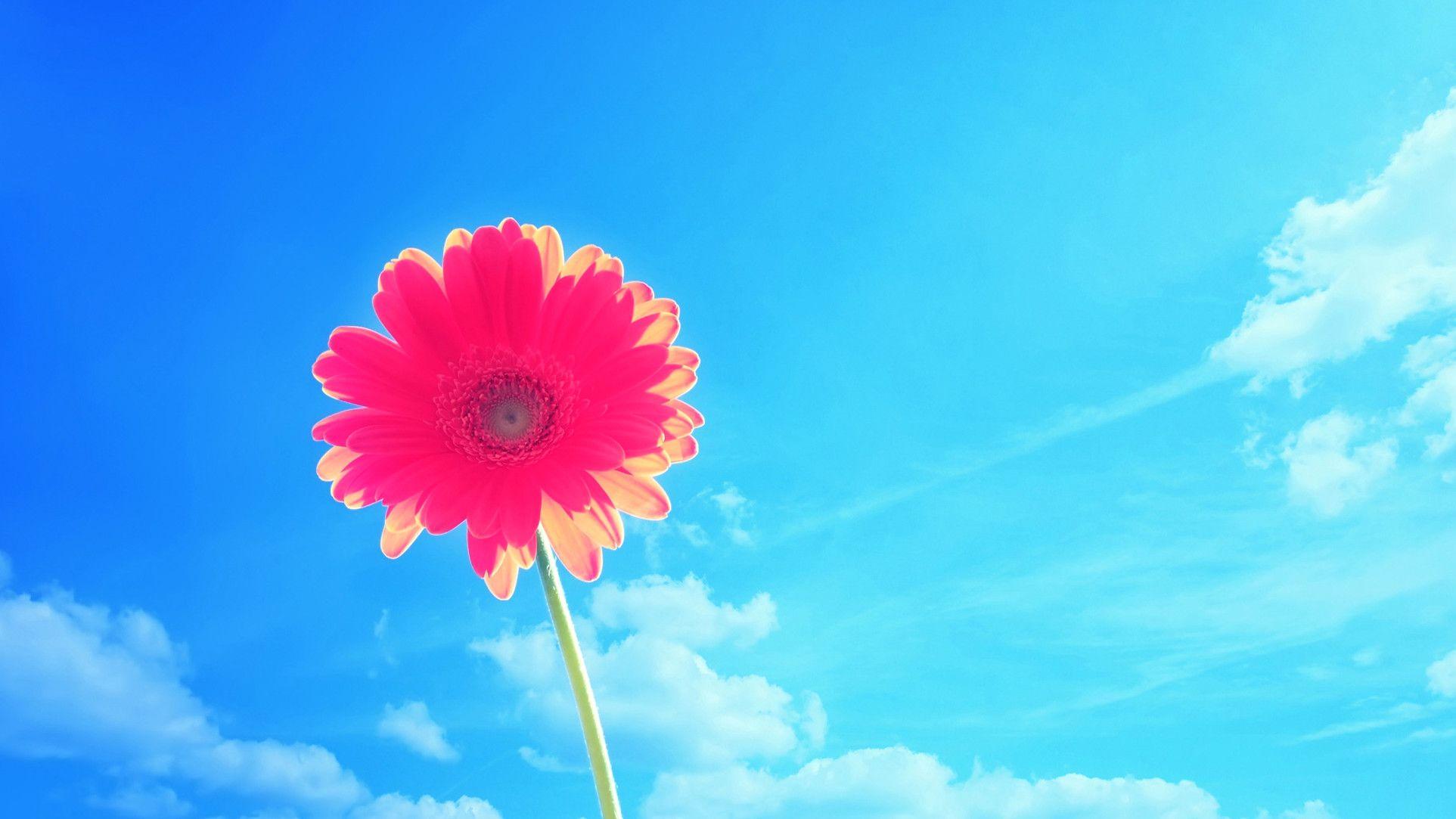 1925x1083 Bright Wallpaper