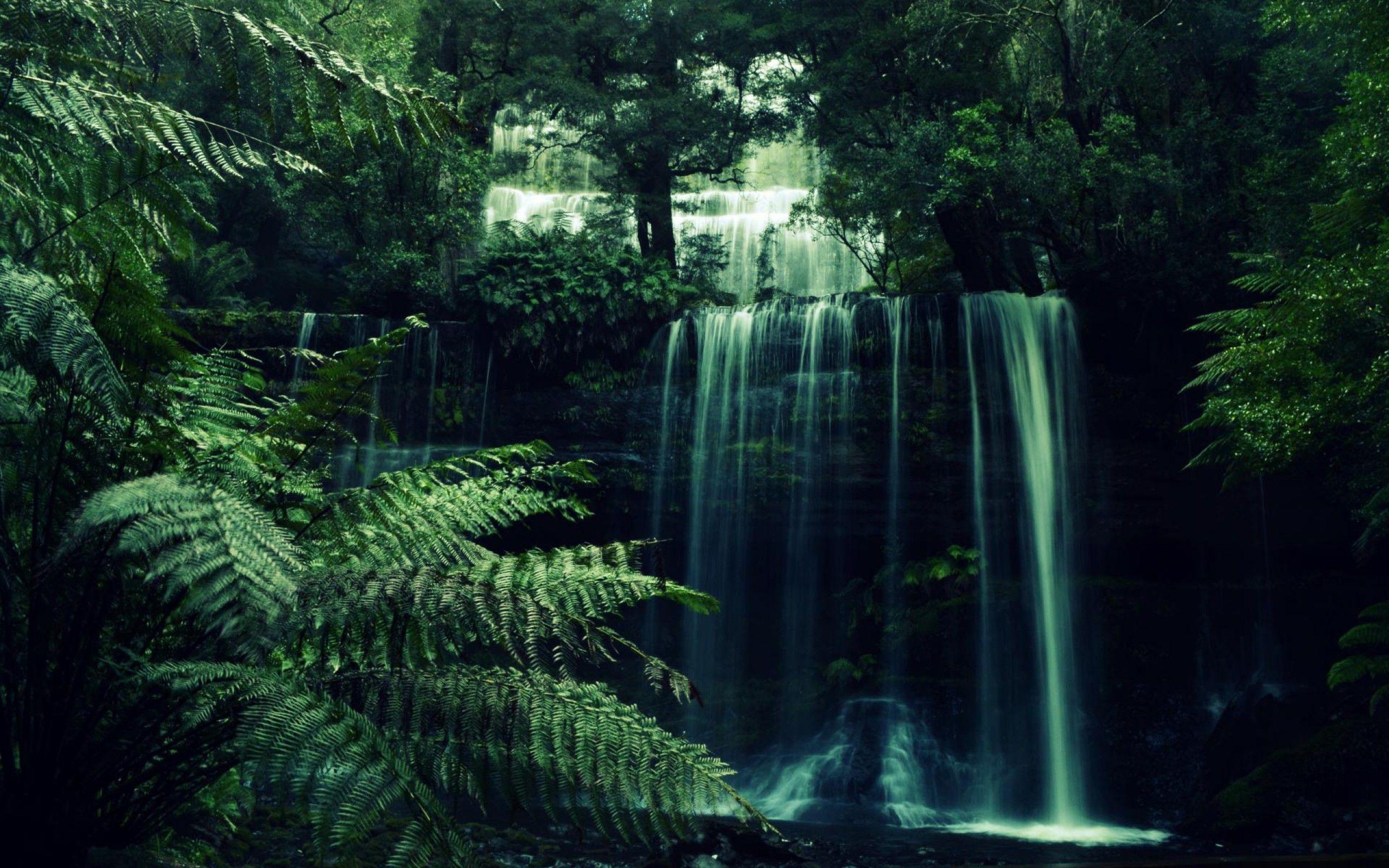 2560x1600 Forest Waterfall Wallpaper. Wallpaper .wallpaper
