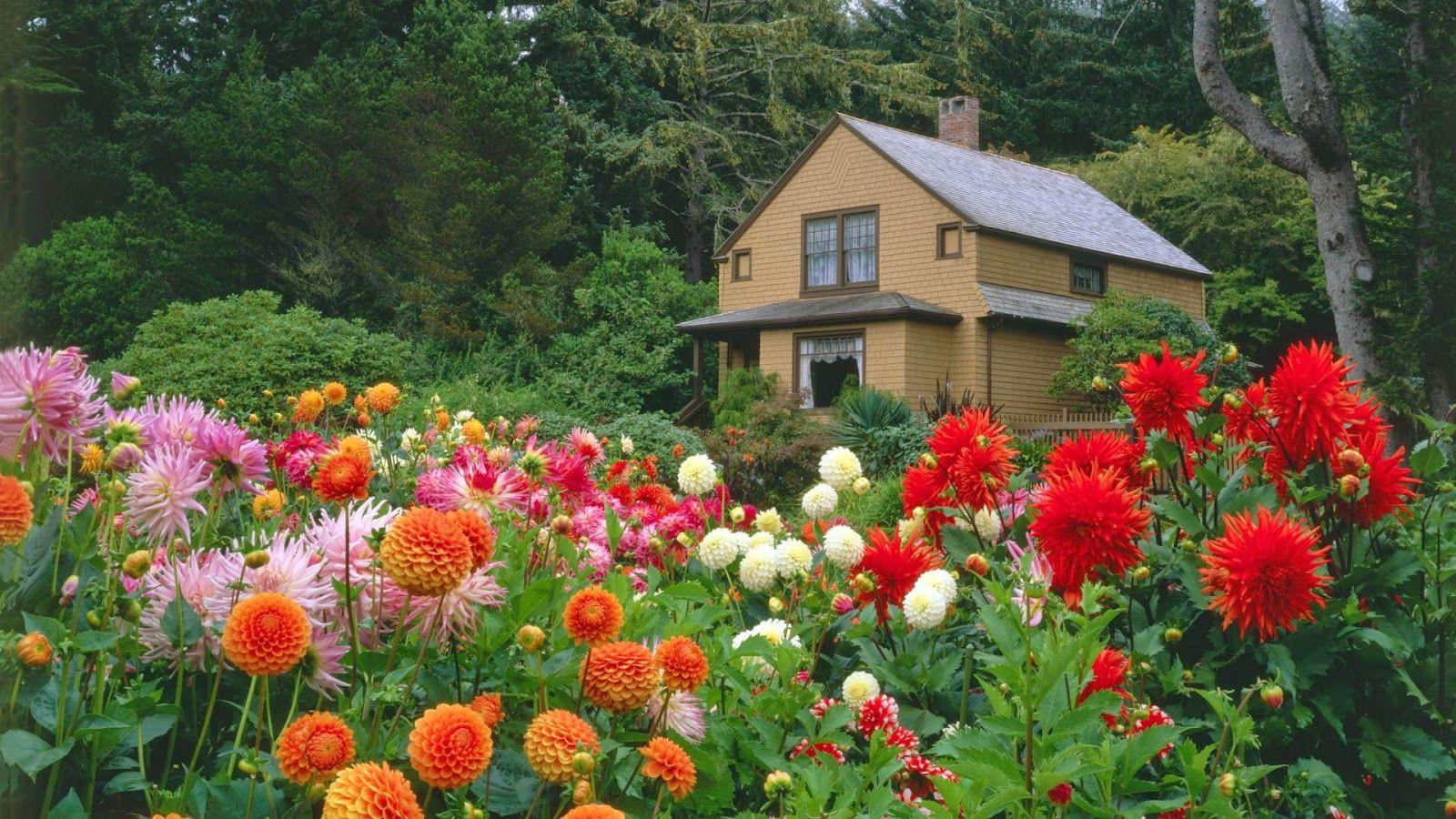 1600x900 HD Wallpaper Flower Gardens