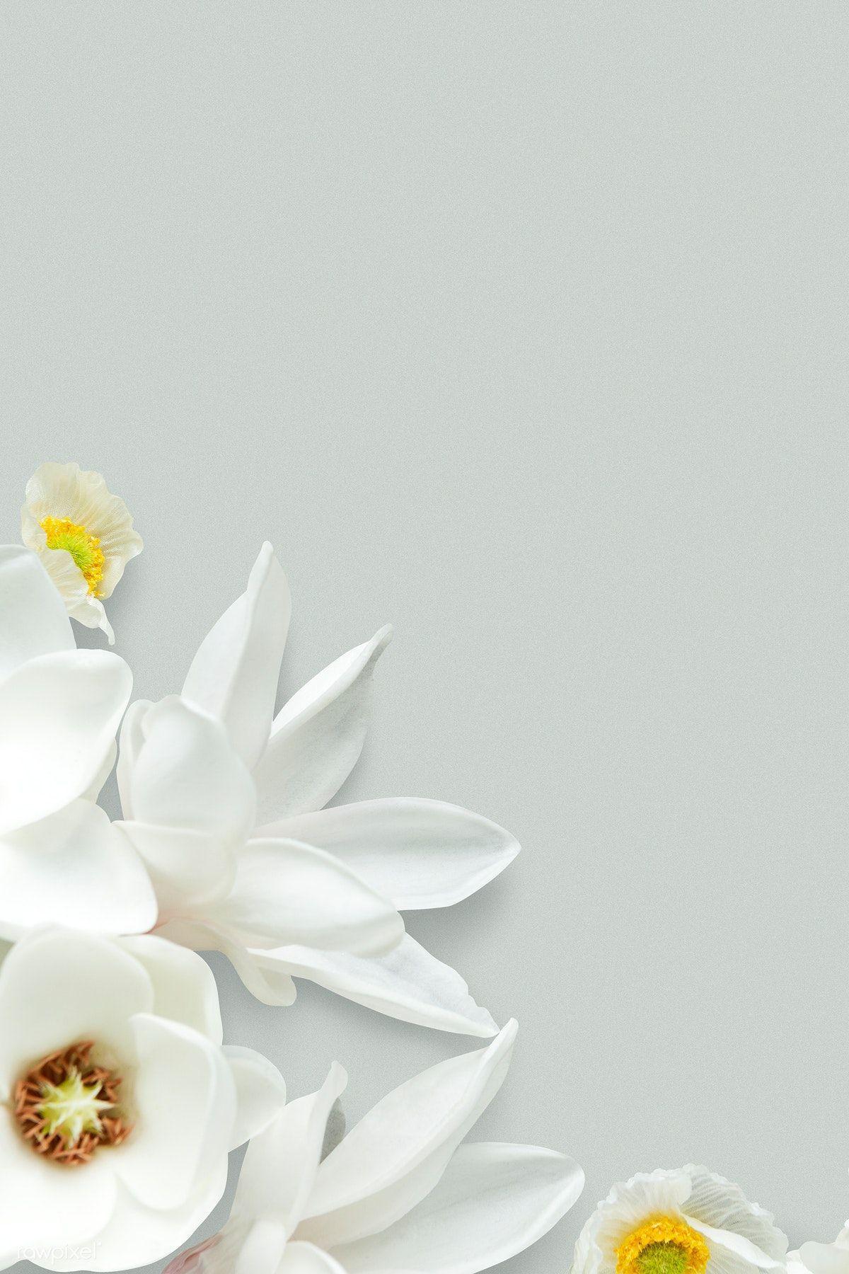 1200x1800 White magnolia pattern background. premium image / Ake. Background patterns, White magnolia, Blue flower wallpaper