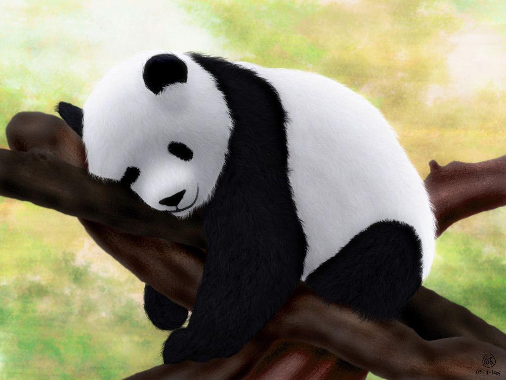 1024x768 Panda Wallpaper. Cute Panda Wallpaper, Funny Panda Wallpaper and Panda Emoji Wallpaper