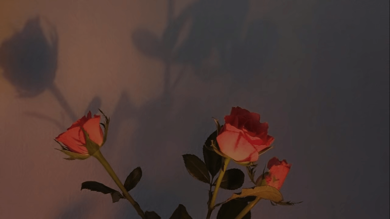 Red Rose Aesthetic Computer Wallpapers Top Free Red Rose Aesthetic Computer Backgrounds Wallpaperaccess