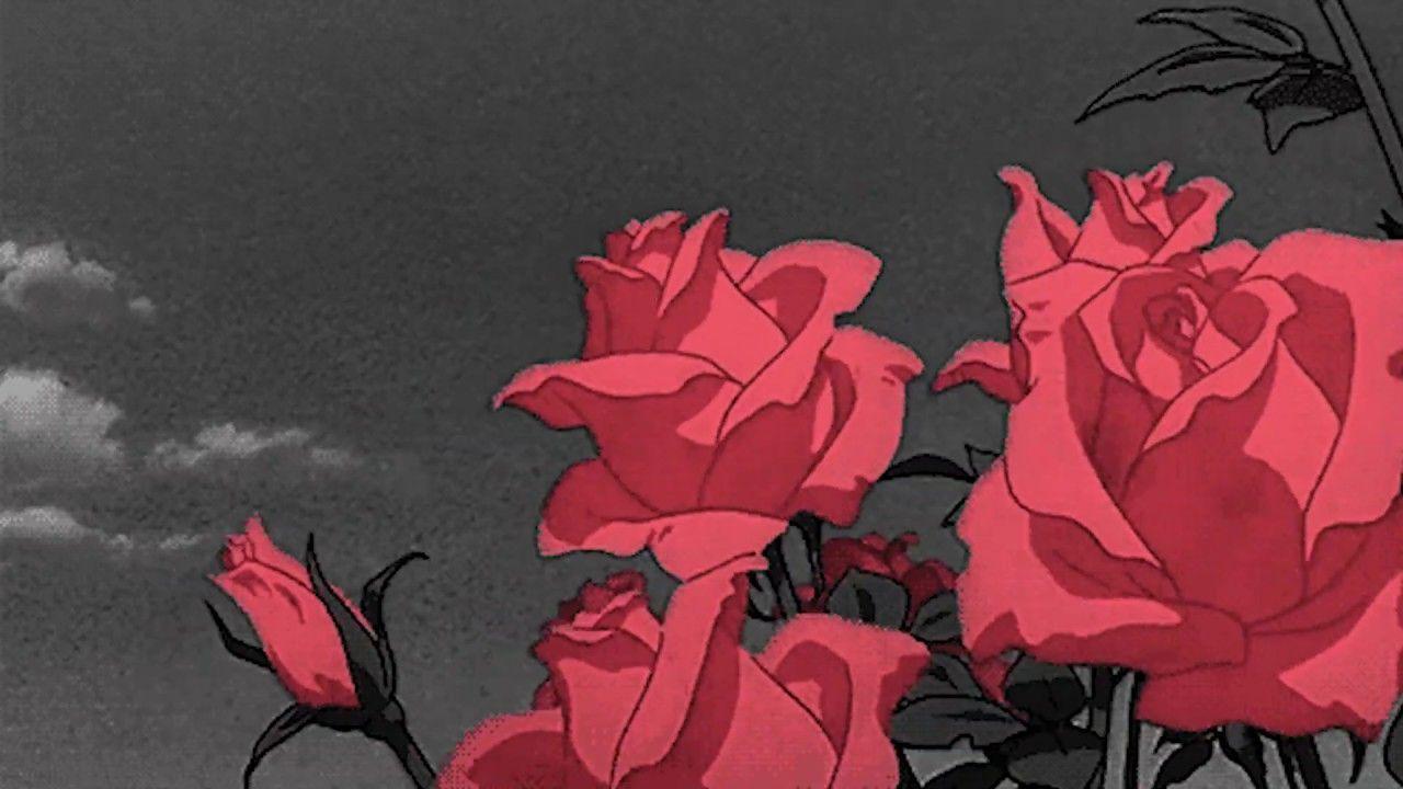 Red Rose Aesthetic Computer Wallpapers Top Free Red Rose Aesthetic Computer Backgrounds 