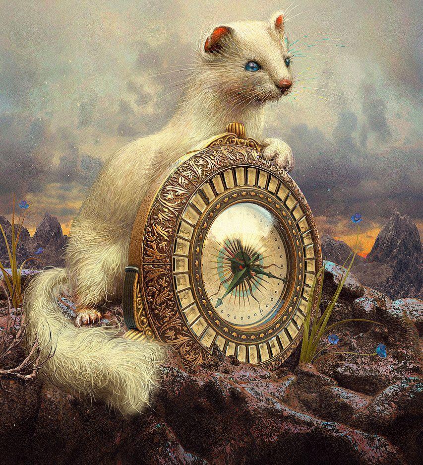 853x937 His Dark Materials Wallpaper