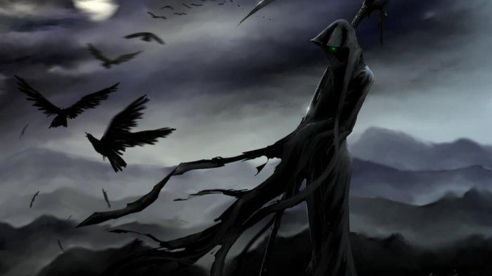 1920x1080 Raven wallpaperx1080