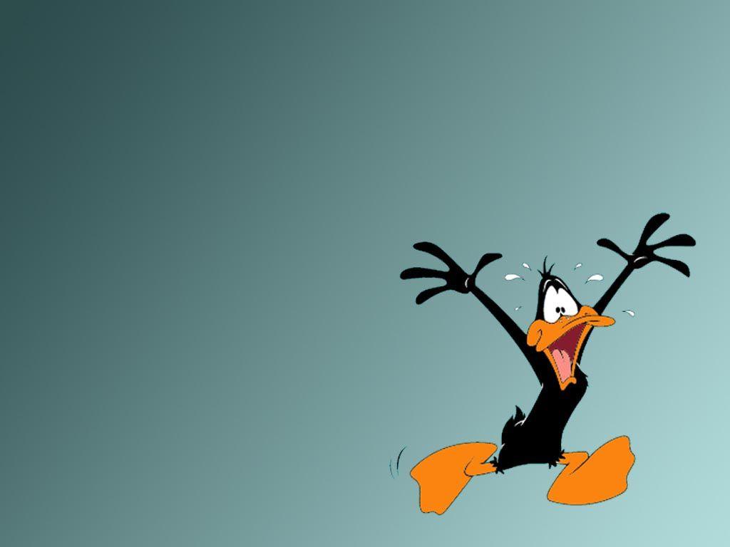 1024x768 Free download Daffy Duck wallpaper Wallpaper 2 [1024x768] for your Desktop, Mobile & Tablet. Explore Looney Tunes Wallpaper. Free Looney Tunes Wallpaper