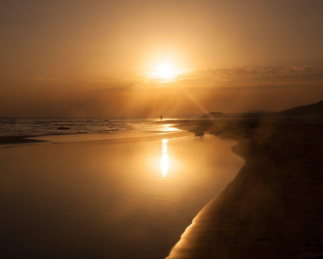 1130x904 A alone man walks on the beach in the sunset