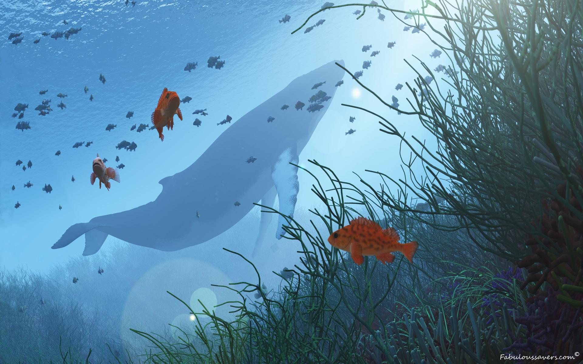 1920x1200 Blue Whale Wallpaper Background Wallpaper & Background Download