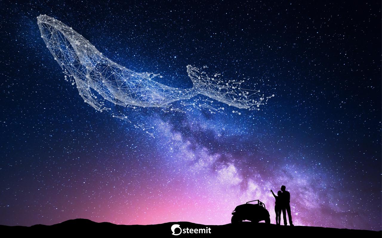 1280x800 Whale Wallpaper For Desktop